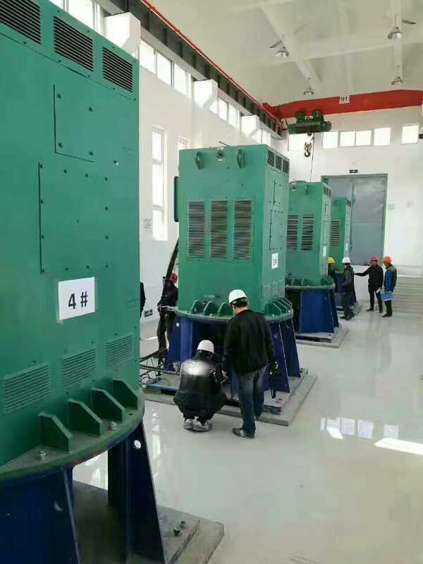额尔古纳某污水处理厂使用我厂的立式高压电机安装现场
